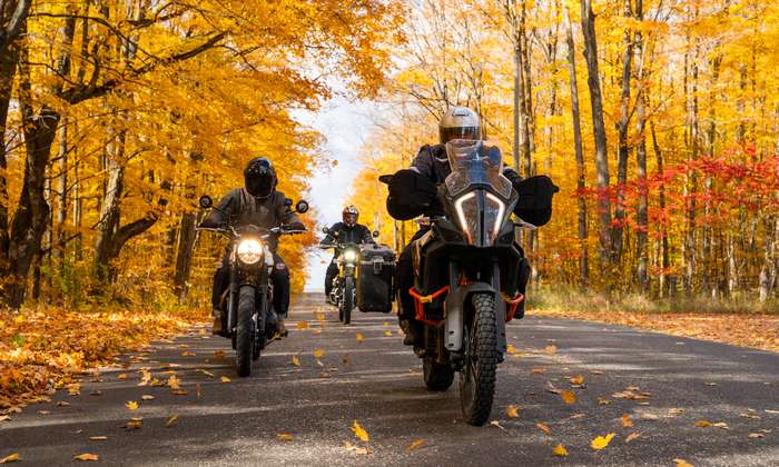 Jeder Motorradfahrer ist umso sicherer unterwegs, je mehr Erfahrung er hat. ( Foto: Shutterstock - GROGL )