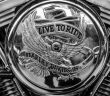 Sicherheitsrückruf: Tausende Harley-Davidson Softail-Motorräder (Foto: AdobeStock - Sergey Kohl 336500124)